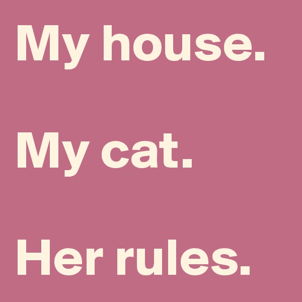My house.

My cat.

Her rules.