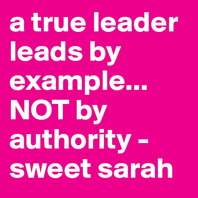 a true leader leads by example... NOT by authority - sweet sarah
