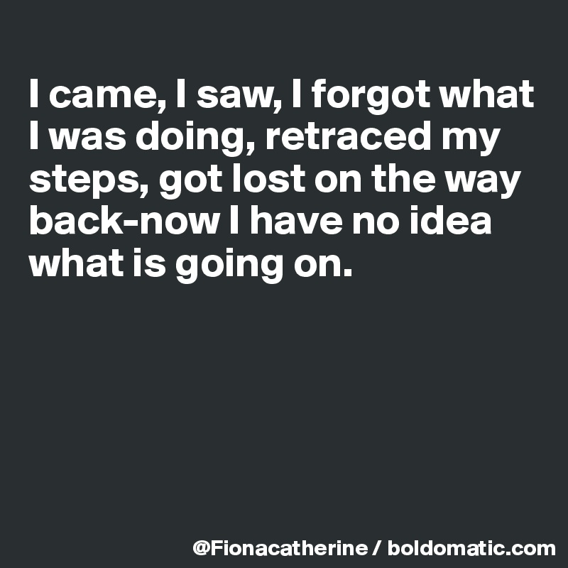 
I came, I saw, I forgot what
I was doing, retraced my 
steps, got lost on the way
back-now I have no idea
what is going on.





