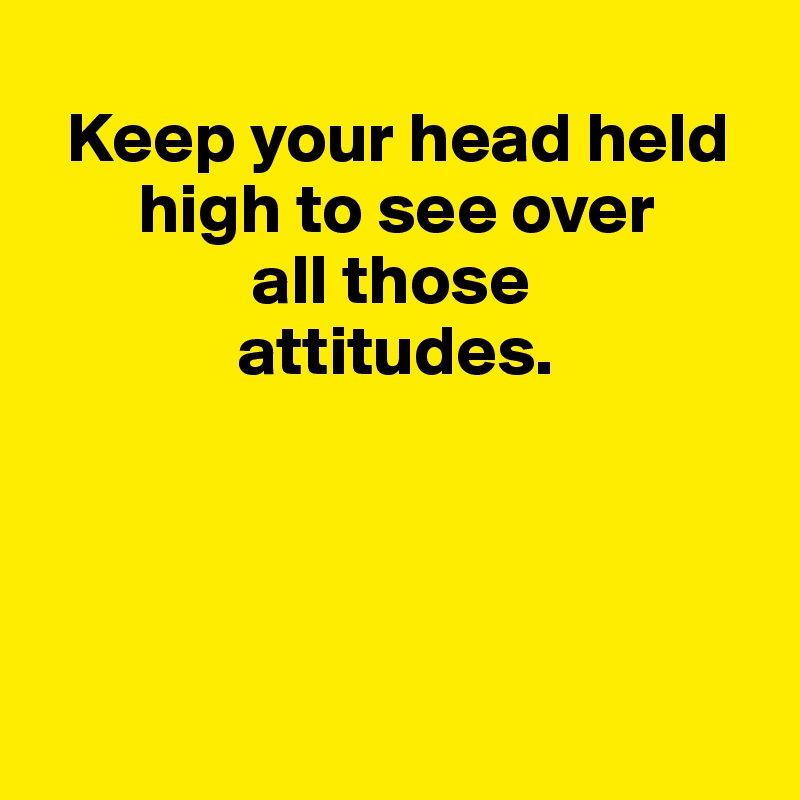 
  Keep your head held   
       high to see over 
               all those    
              attitudes.




