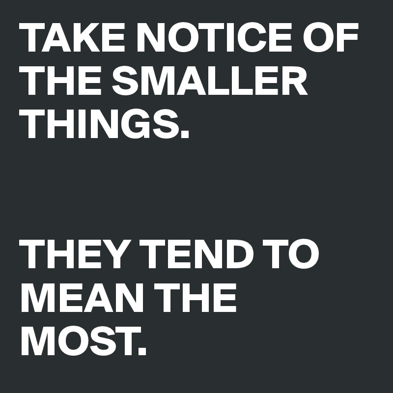 TAKE NOTICE OF THE SMALLER THINGS.


THEY TEND TO MEAN THE MOST.