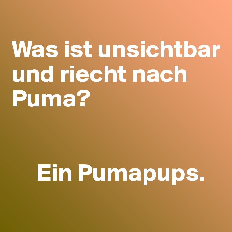 
Was ist unsichtbar und riecht nach Puma?


     Ein Pumapups.
