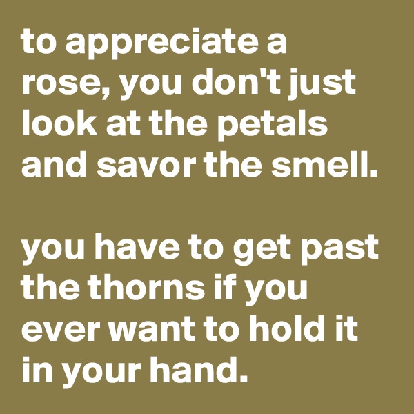 to appreciate a rose, you don't just look at the petals and savor the smell.

you have to get past the thorns if you ever want to hold it in your hand.