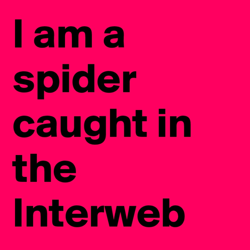 I am a spider caught in the Interweb