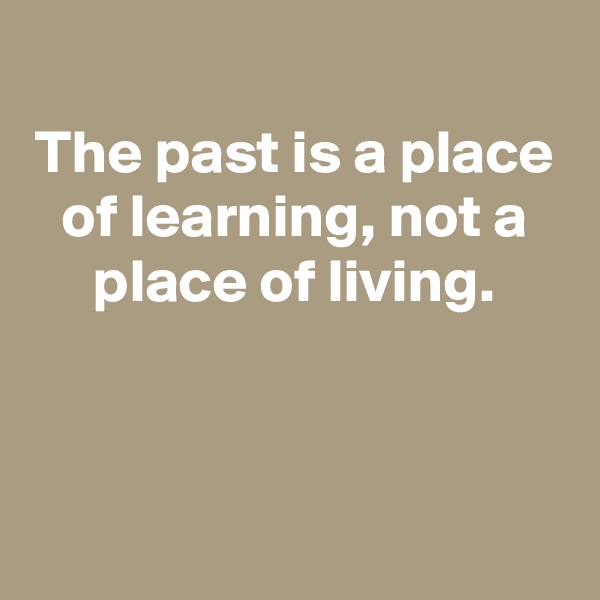 
The past is a place of learning, not a place of living.



