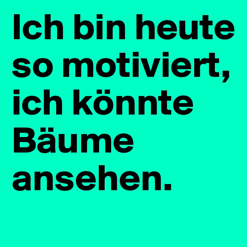 Ich bin heute so motiviert, ich könnte Bäume ansehen.