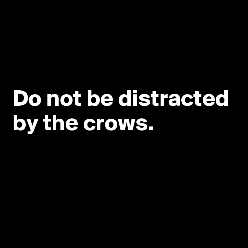 


Do not be distracted by the crows. 


