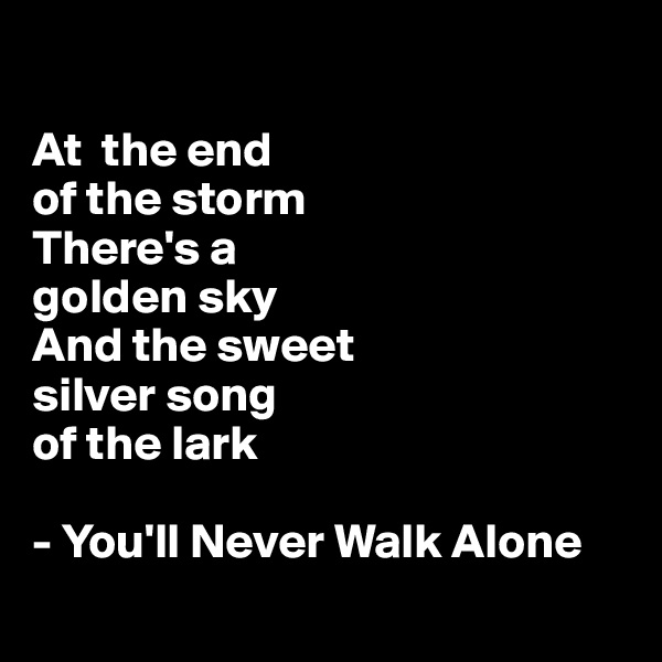 

At  the end 
of the storm 
There's a 
golden sky 
And the sweet 
silver song 
of the lark

- You'll Never Walk Alone
