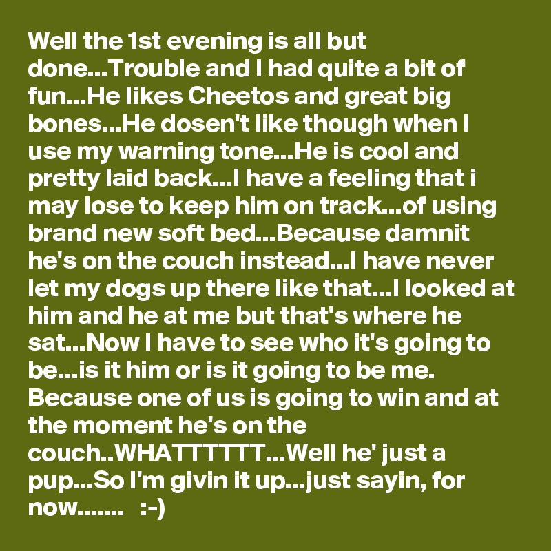 Well the 1st evening is all but done...Trouble and I had quite a bit of fun...He likes Cheetos and great big bones...He dosen't like though when I use my warning tone...He is cool and pretty laid back...I have a feeling that i may lose to keep him on track...of using brand new soft bed...Because damnit he's on the couch instead...I have never let my dogs up there like that...I looked at him and he at me but that's where he sat...Now I have to see who it's going to be...is it him or is it going to be me. Because one of us is going to win and at the moment he's on the couch..WHATTTTTT...Well he' just a pup...So I'm givin it up...just sayin, for now.......   :-)
