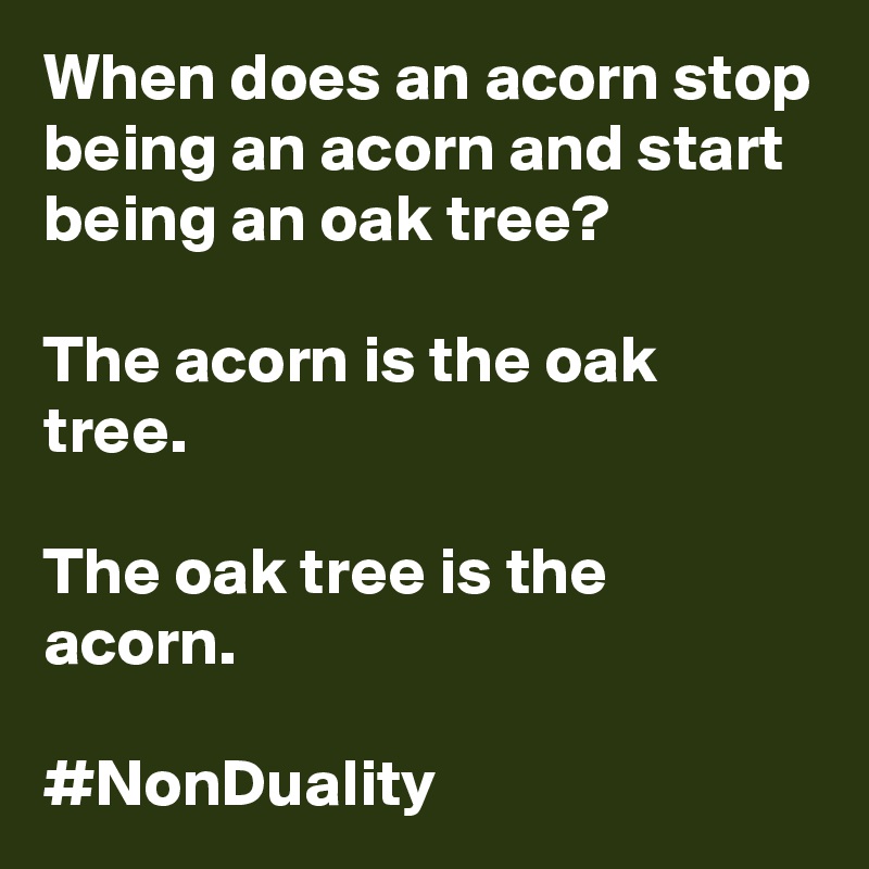When does an acorn stop being an acorn and start being an oak tree?

The acorn is the oak tree.

The oak tree is the acorn.

#NonDuality