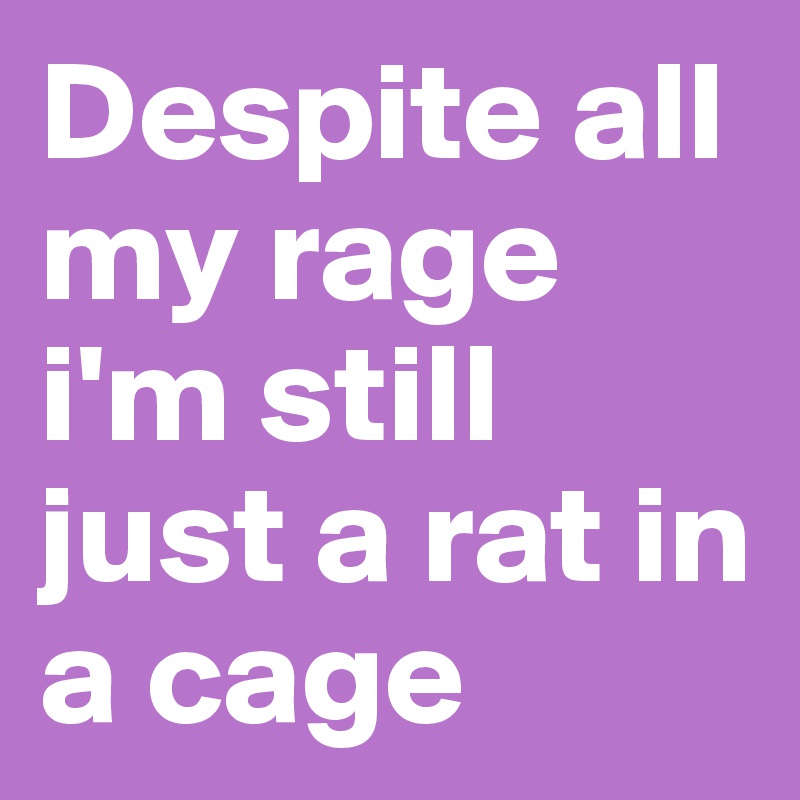 Despite all my rage i'm still just a rat in a cage