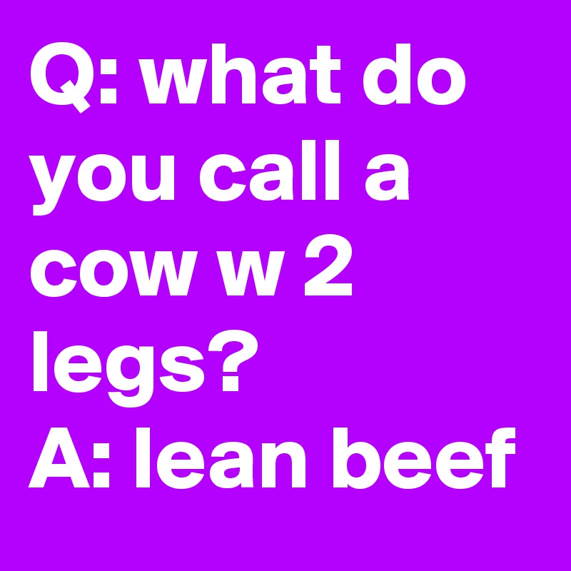 q-what-do-you-call-a-cow-w-2-legs-a-lean-beef-post-by-siouxz-on