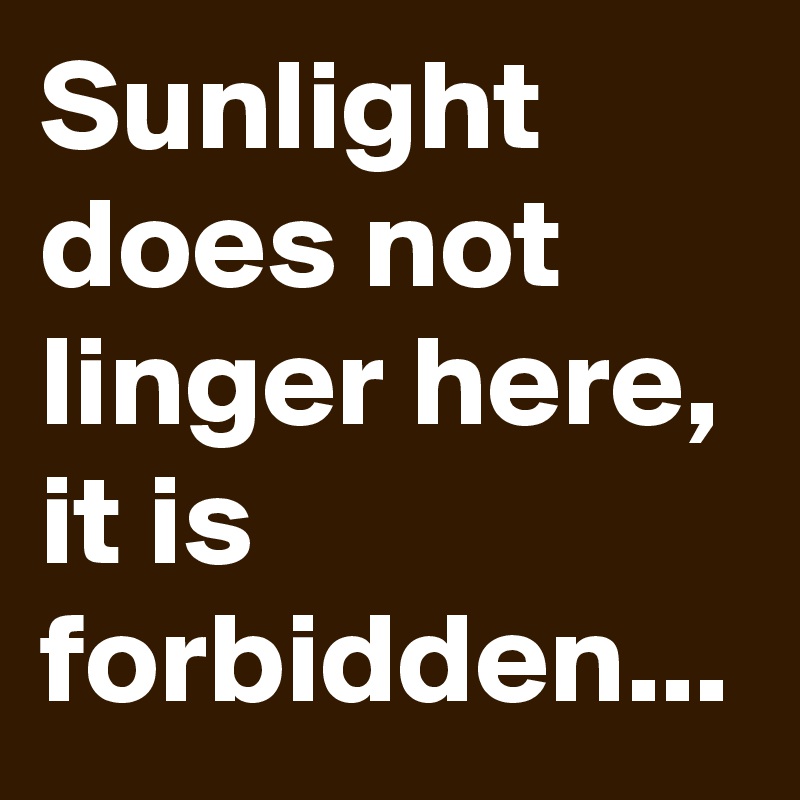 Sunlight does not linger here, it is forbidden...