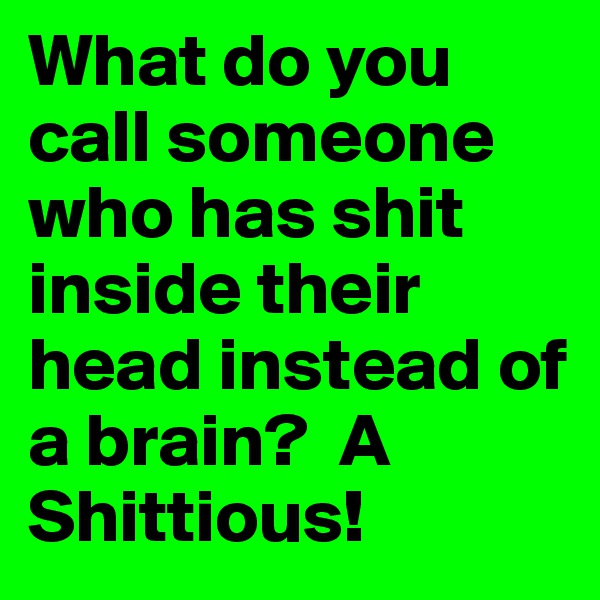 What do you call someone who has shit inside their head instead of a brain?  A Shittious! 