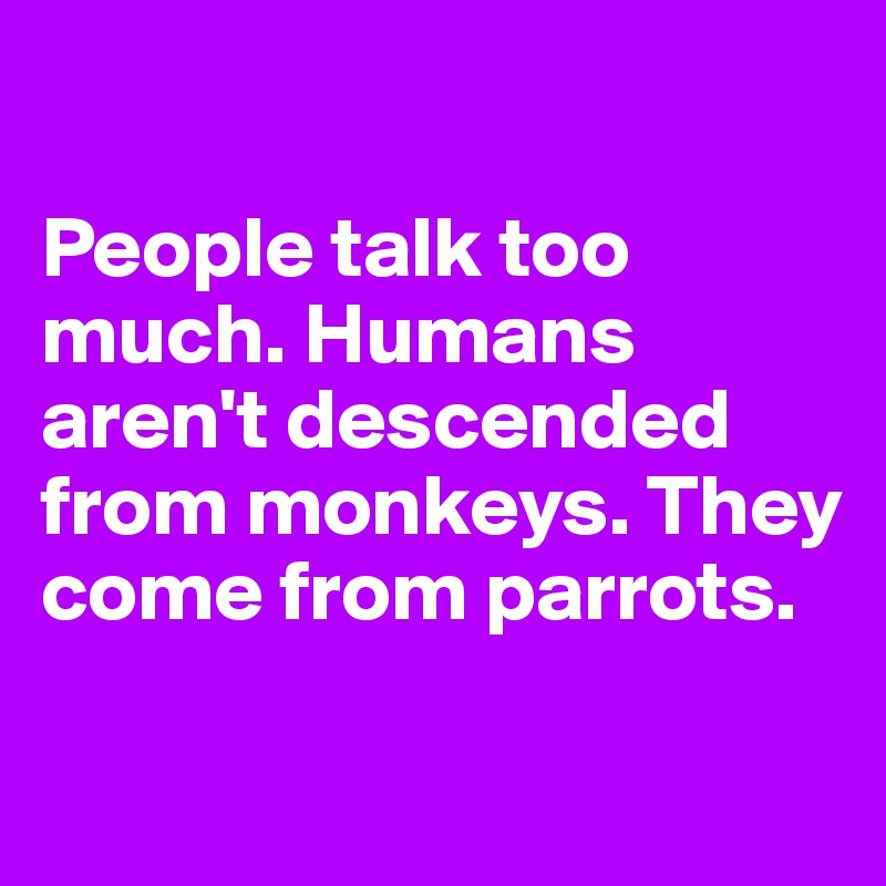 

People talk too much. Humans aren't descended from monkeys. They come from parrots.

