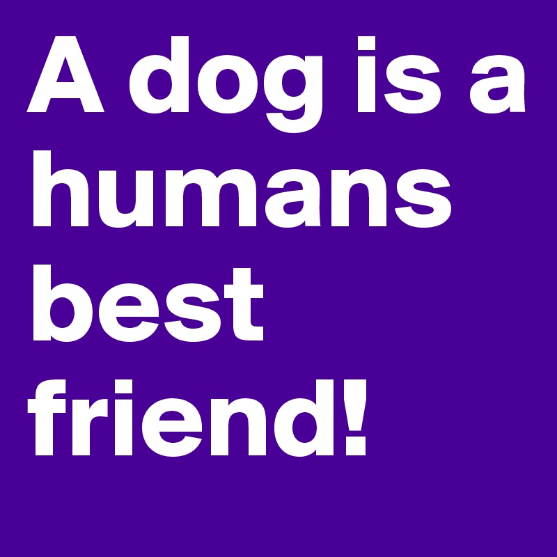 A dog is a humans best friend! 
