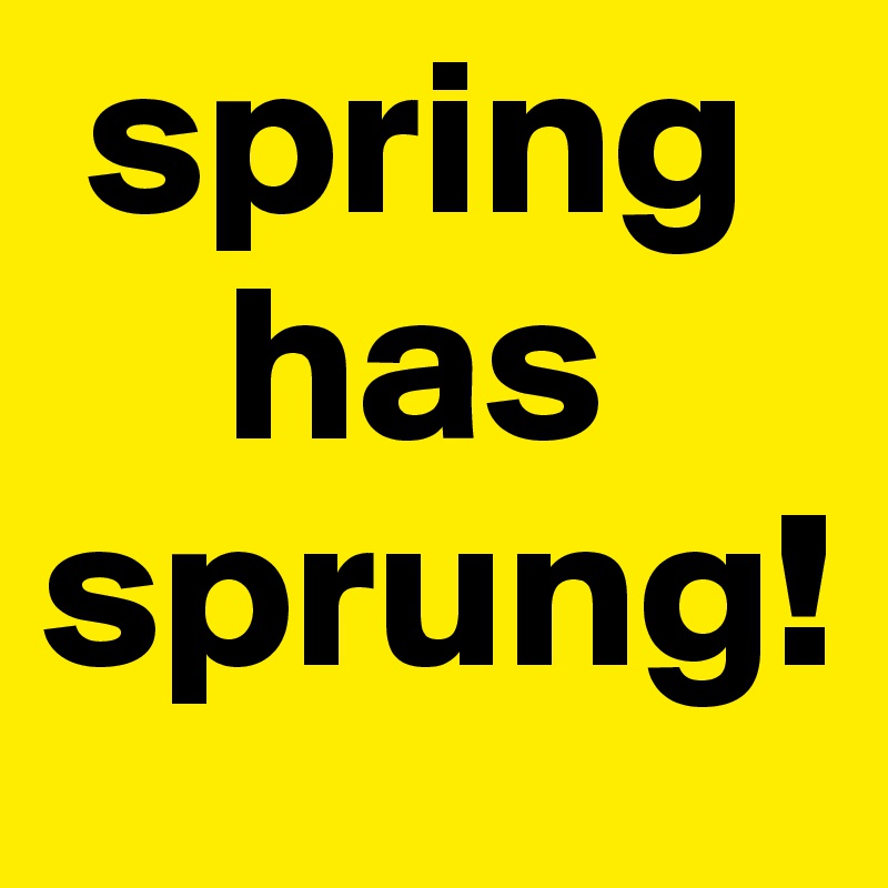  spring 
    has 
sprung!