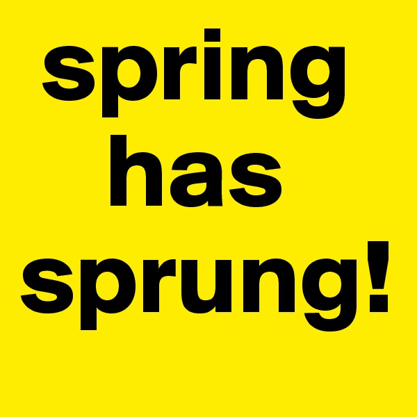  spring 
    has 
sprung!