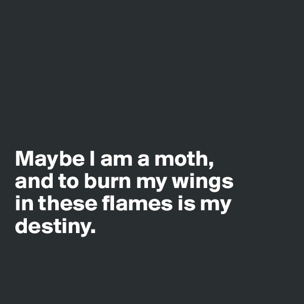 





Maybe I am a moth, 
and to burn my wings 
in these flames is my destiny.

