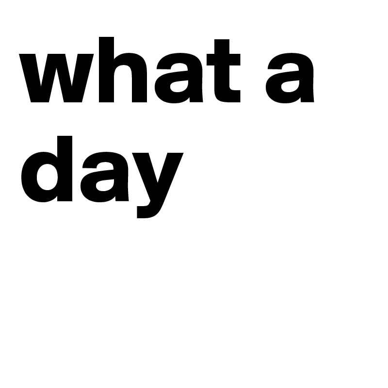 what a day