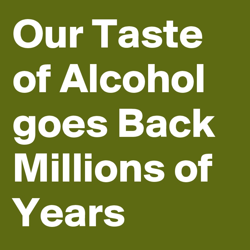 Our Taste of Alcohol goes Back Millions of Years