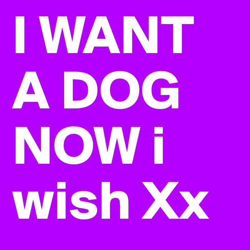 I WANT A DOG NOW i wish Xx