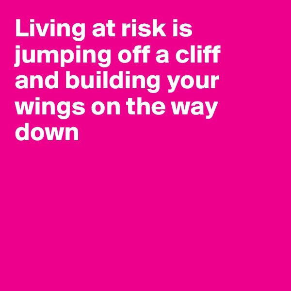 Living at risk is jumping off a cliff
and building your
wings on the way
down




