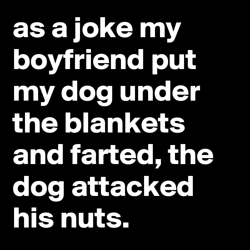 as a joke my boyfriend put my dog under the blankets and farted, the dog attacked his nuts.