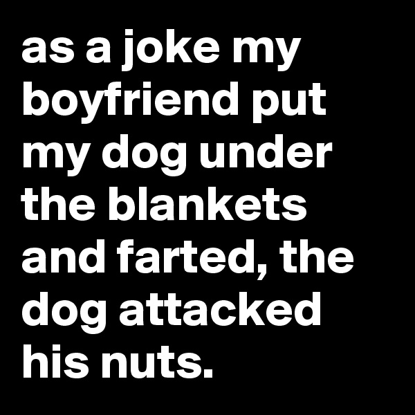 as a joke my boyfriend put my dog under the blankets and farted, the dog attacked his nuts.