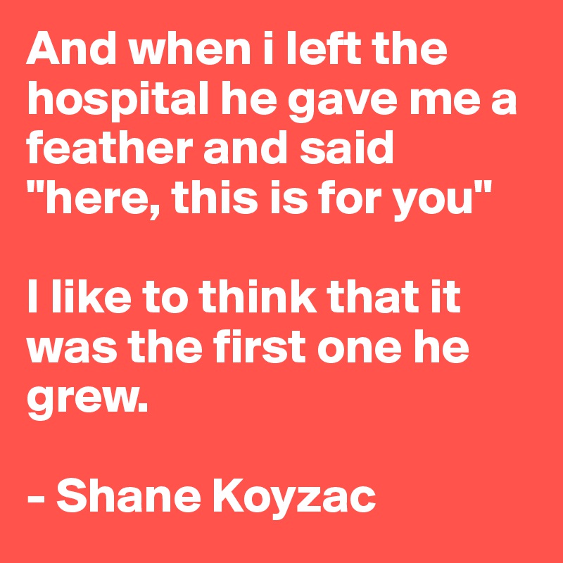 And when i left the hospital he gave me a feather and said "here, this is for you"

I like to think that it was the first one he grew.

- Shane Koyzac