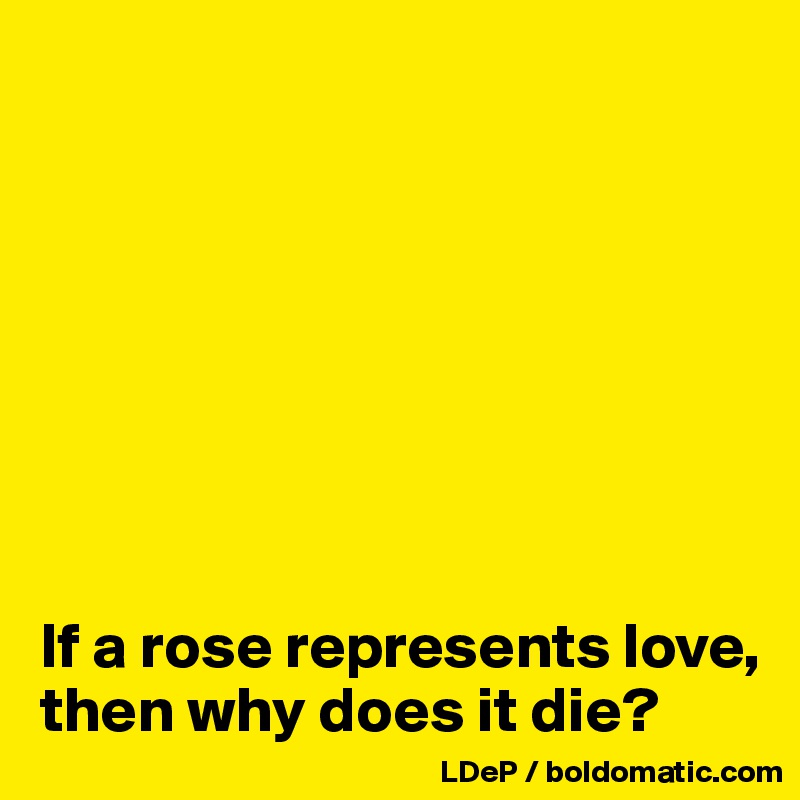 








If a rose represents love, then why does it die?