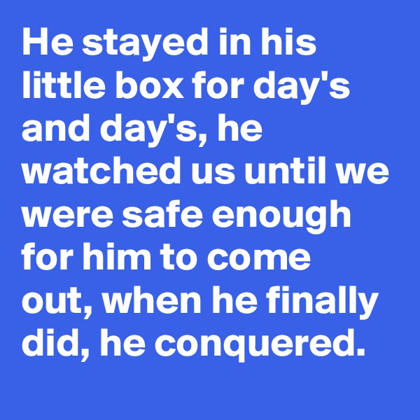He stayed in his little box for day's and day's, he watched us until we were safe enough for him to come out, when he finally did, he conquered. 