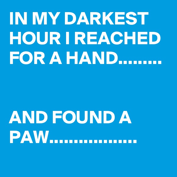 IN MY DARKEST HOUR I REACHED FOR A HAND.........


AND FOUND A PAW..................