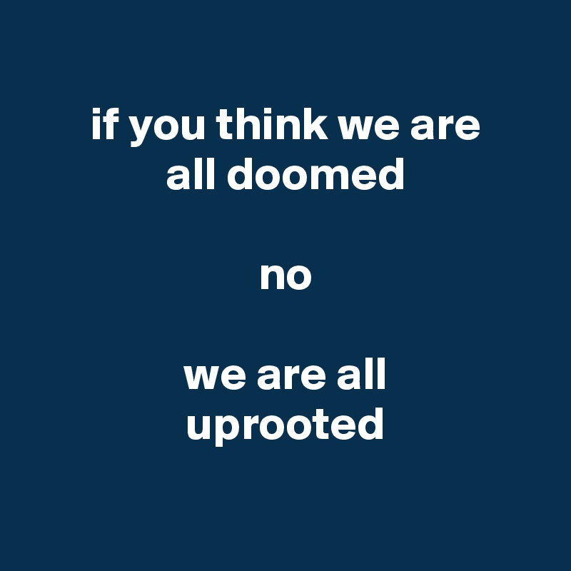 
 if you think we are
 all doomed

 no

 we are all
 uprooted


