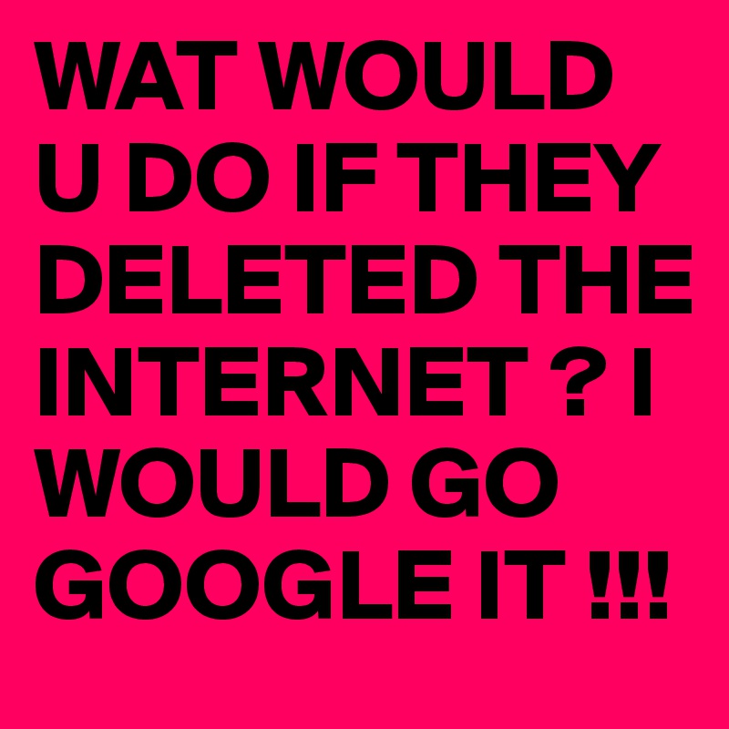 WAT WOULD U DO IF THEY DELETED THE INTERNET ? I WOULD GO GOOGLE IT !!!