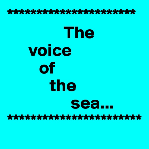 **********************
                The
      voice 
         of
            the
                  sea...
***********************