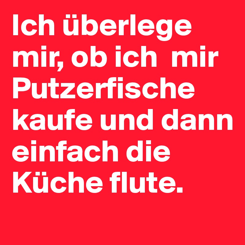 Ich überlege mir, ob ich  mir Putzerfische kaufe und dann einfach die Küche flute. 