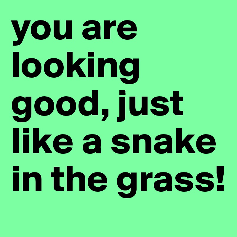 you are looking good, just like a snake in the grass!