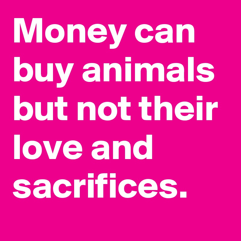 Money can buy animals but not their love and sacrifices.