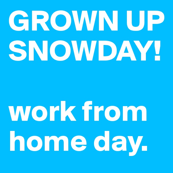 GROWN UP SNOWDAY!

work from home day. 