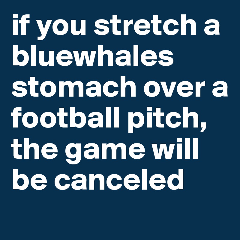 if you stretch a bluewhales stomach over a football pitch, the game will be canceled