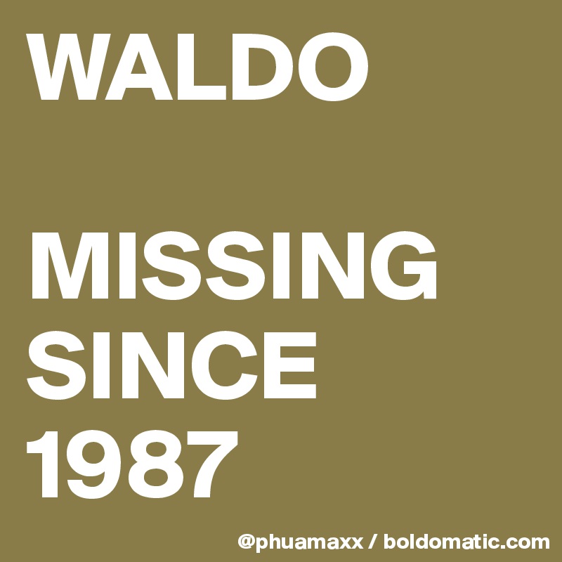 WALDO

MISSING SINCE 1987