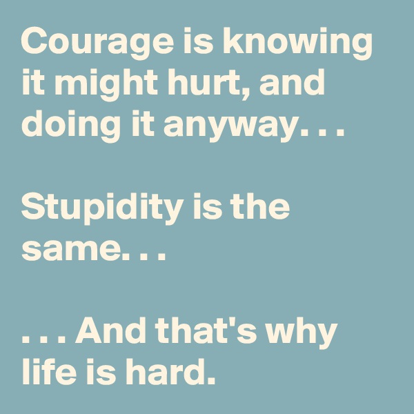 Courage is knowing it might hurt, and doing it anyway. . .

Stupidity is the same. . .

. . . And that's why life is hard.