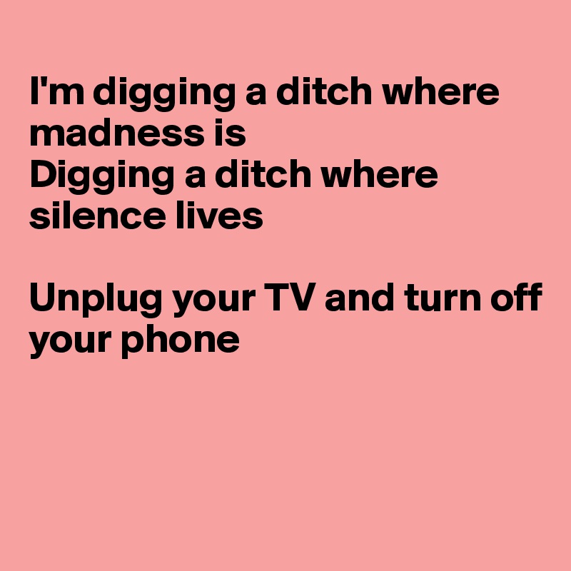 
I'm digging a ditch where madness is
Digging a ditch where silence lives

Unplug your TV and turn off 
your phone



