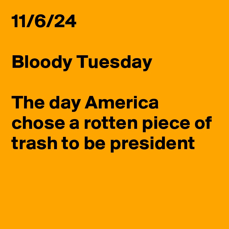 11/6/24

Bloody Tuesday 

The day America chose a rotten piece of trash to be president 


