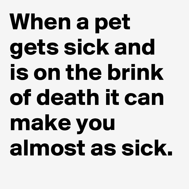 When a pet gets sick and is on the brink of death it can make you almost as sick.