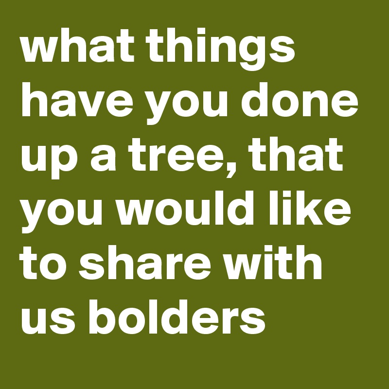 what things have you done up a tree, that you would like to share with us bolders