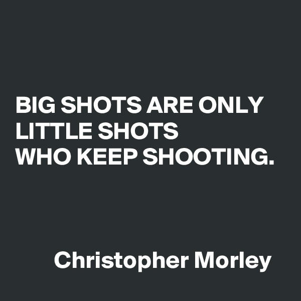 


BIG SHOTS ARE ONLY LITTLE SHOTS 
WHO KEEP SHOOTING. 



        Christopher Morley