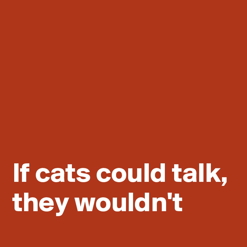 




If cats could talk, 
they wouldn't