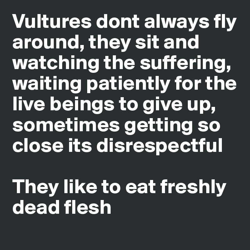 Vultures dont always fly around, they sit and watching the suffering, waiting patiently for the live beings to give up, sometimes getting so close its disrespectful

They like to eat freshly dead flesh
